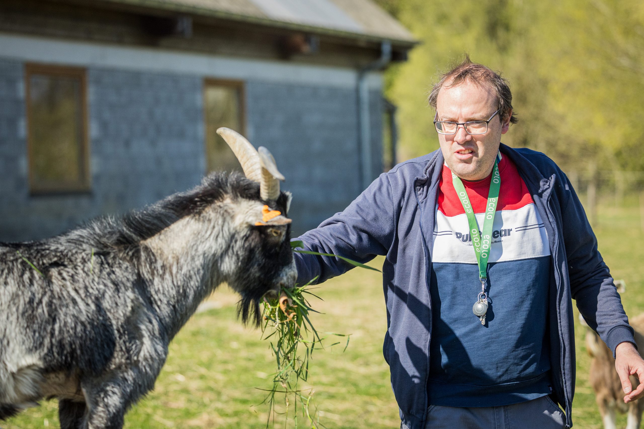 Een foto van onze vrijwilliger Julien die wat gras te eten geeft aan ene geitje