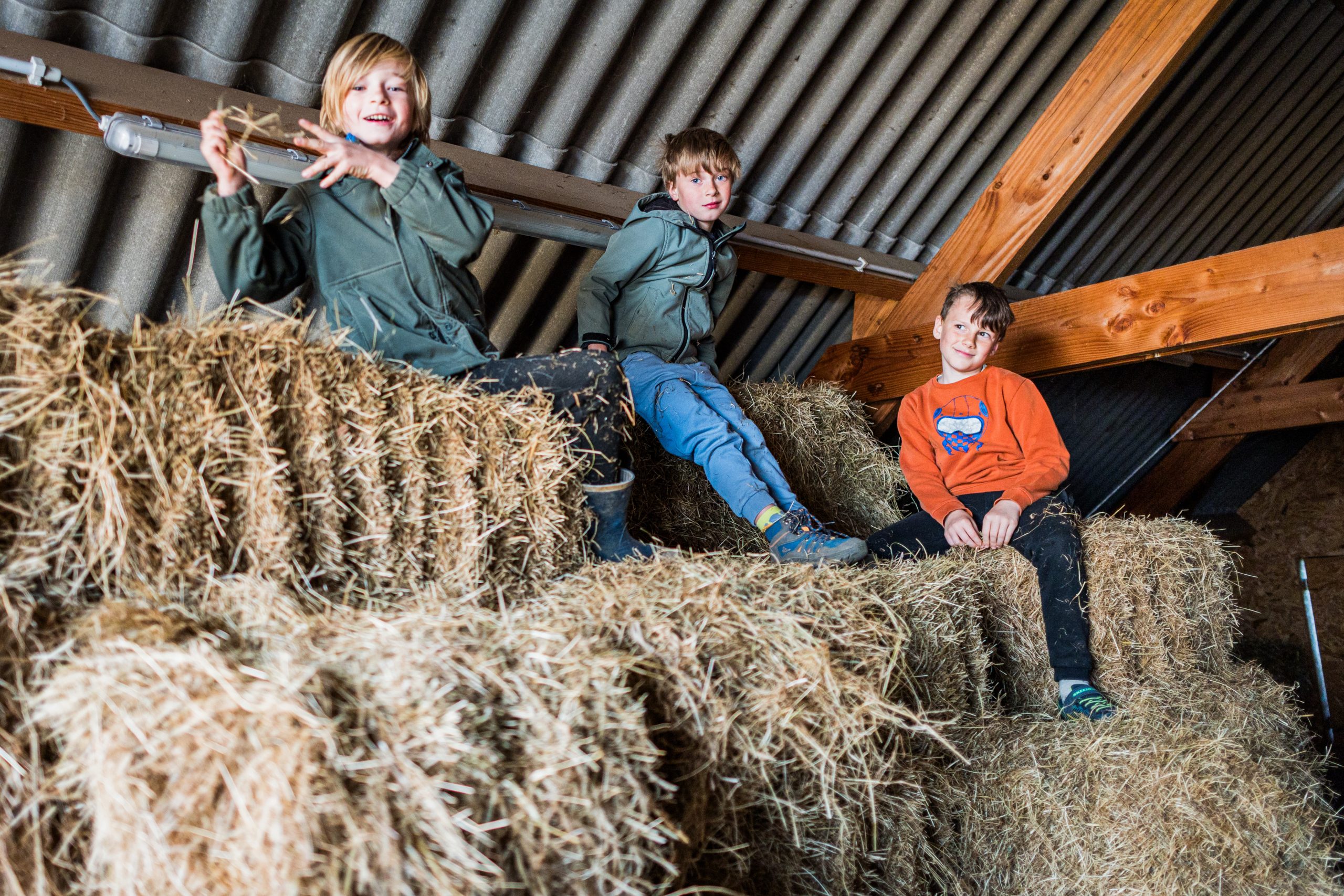 Drie kinderen op de hooizolder
